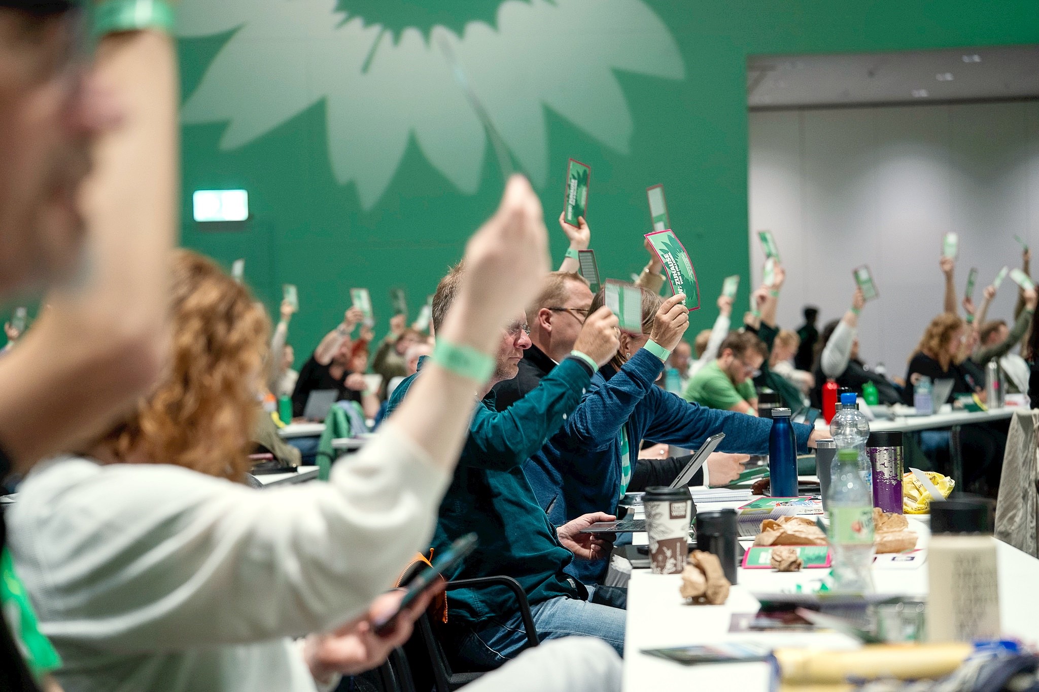 Grüne Delegierte bei einer Abstimmung